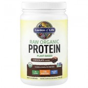 Garden of Life, необроблений органічний протеїн, шоколад, 700 г (1 фунт 8,69 унції)